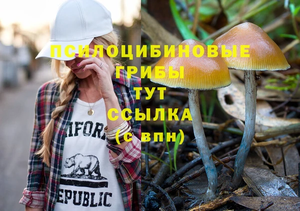 кокаин Богородицк